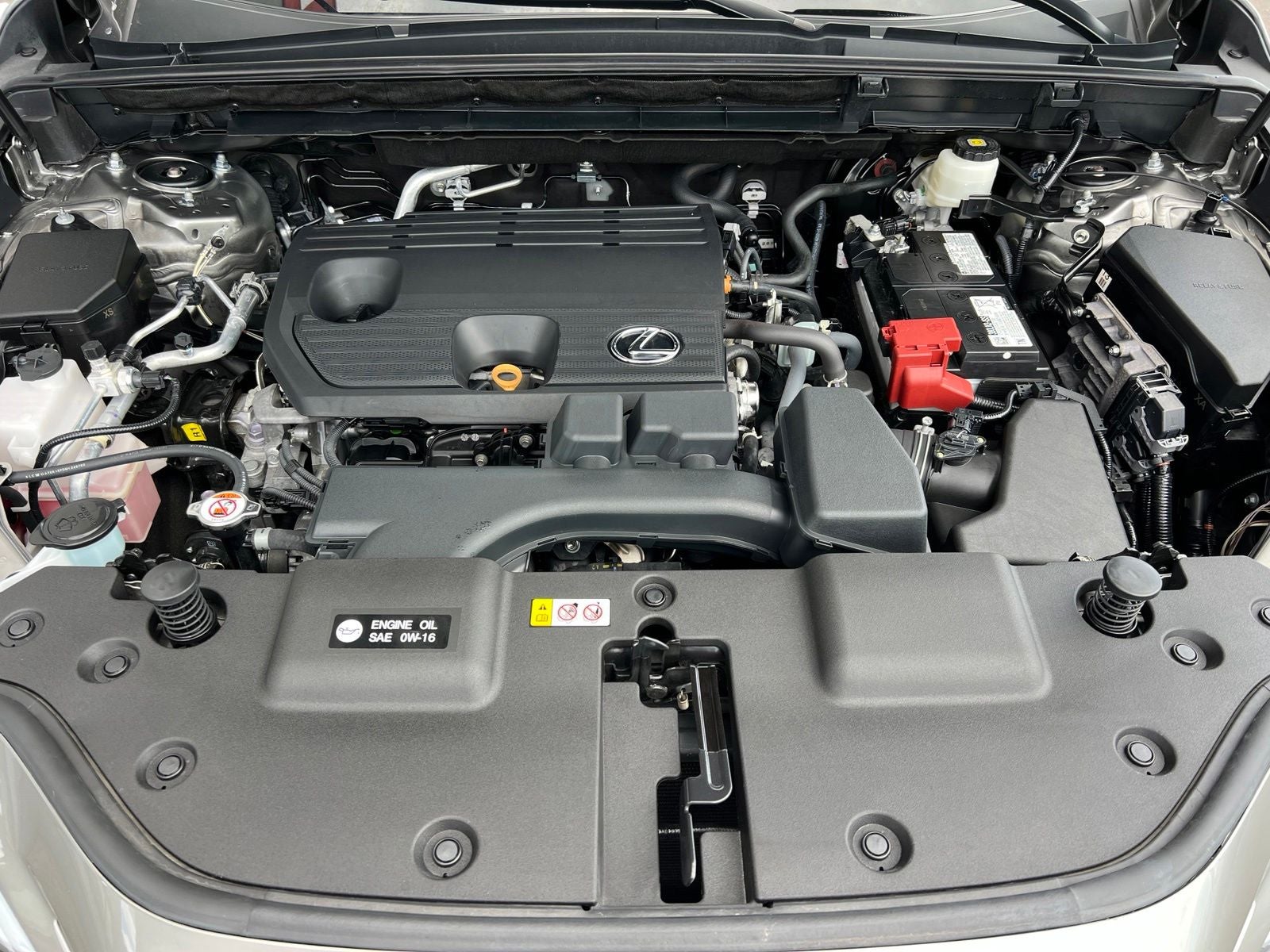 2024 Lexus NX 250 Premium