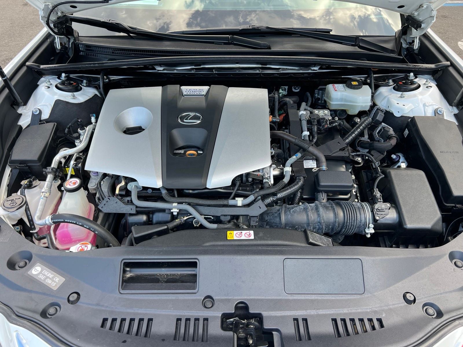 2019 Lexus ES 300h Ultra Luxury