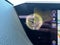 2019 Lexus ES 300h Ultra Luxury