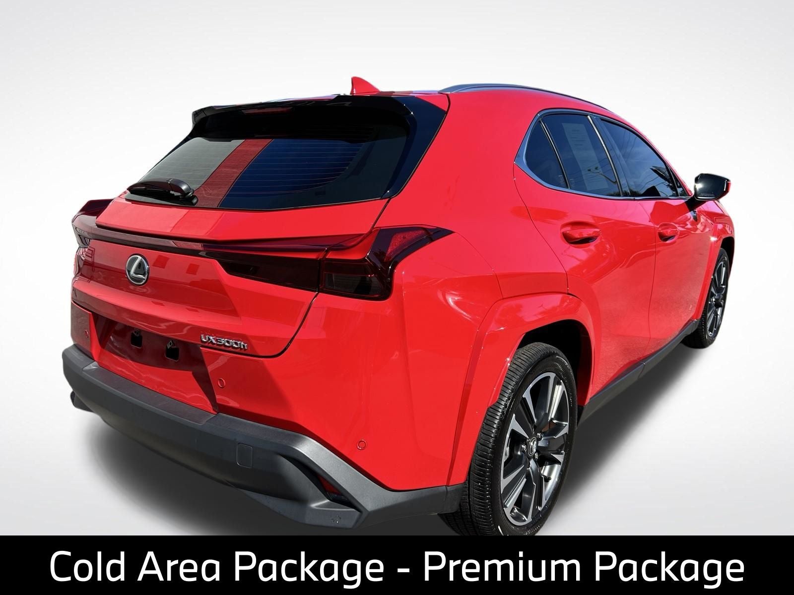 2025 Lexus UX 300h Premium