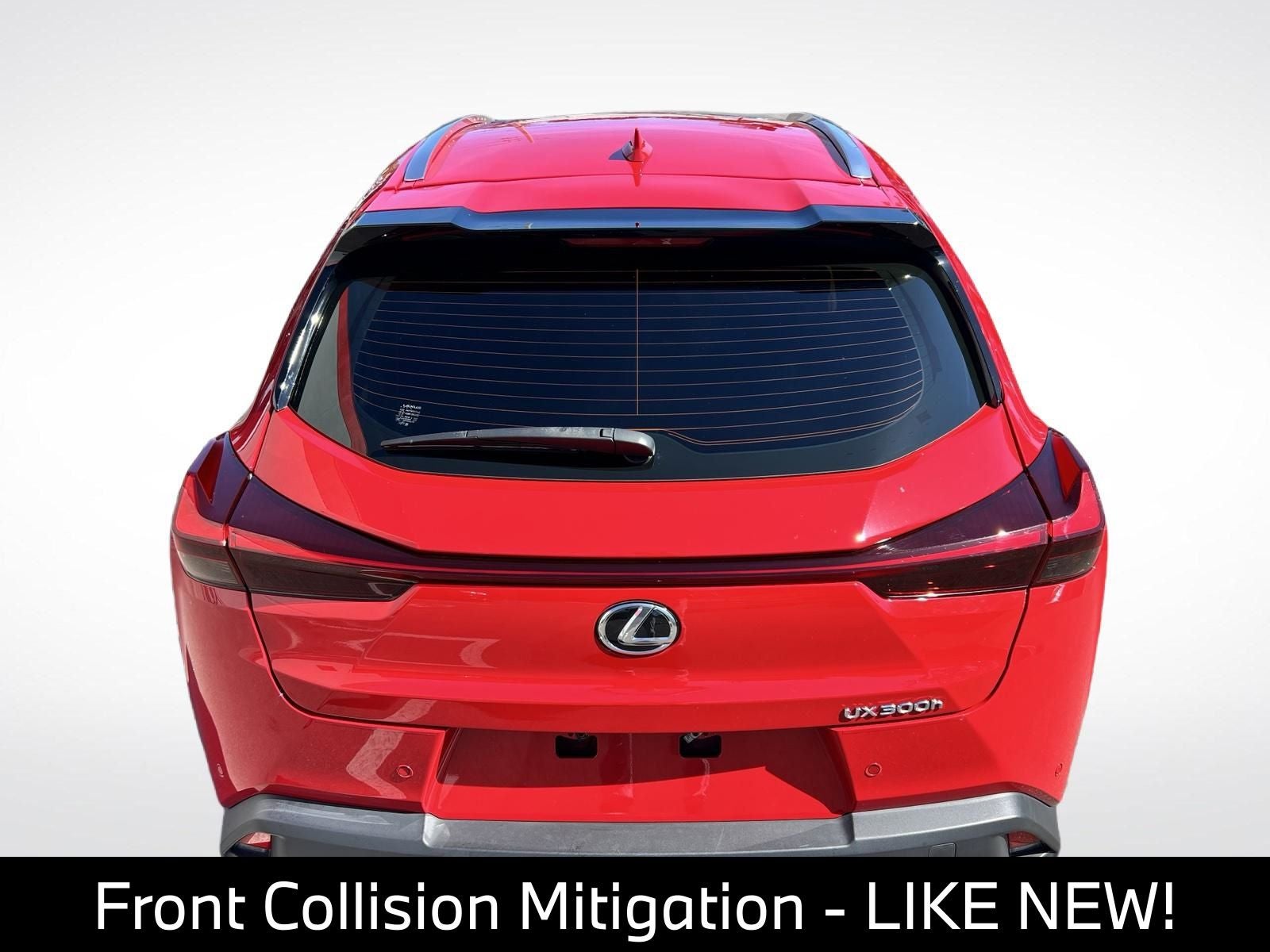 2025 Lexus UX 300h Premium