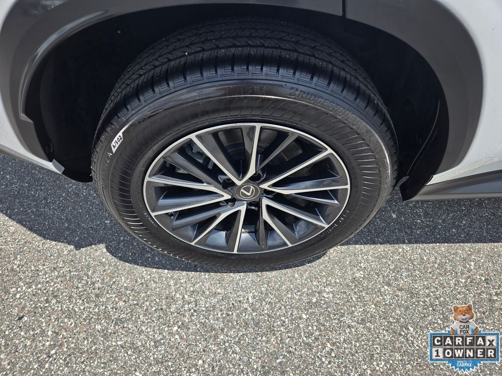 2023 Lexus NX 250 Base