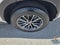 2023 Lexus NX 250 Base