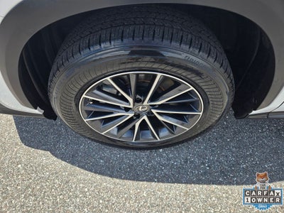 2023 Lexus NX 250 Base