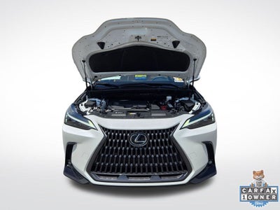 2023 Lexus NX 250 Base