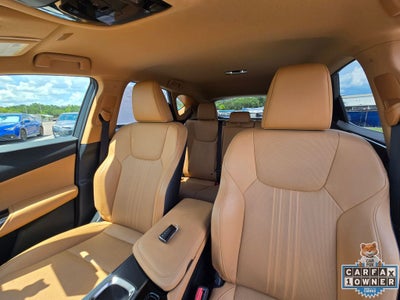 2023 Lexus NX 250 Base