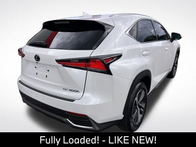 2020 Lexus NX 300h