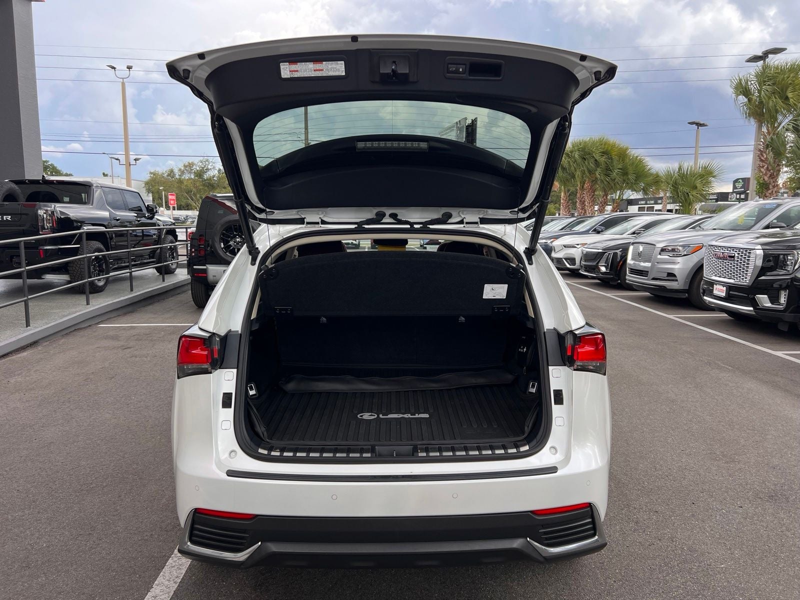 2020 Lexus NX 300h