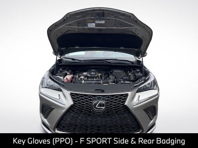 2021 Lexus NX 300 F Sport